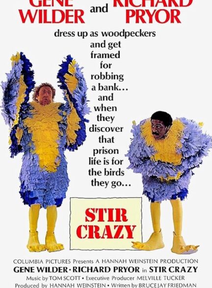 دانلود فیلم Stir Crazy