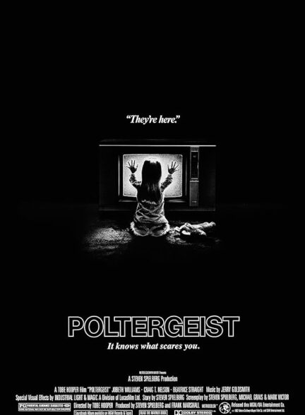 دانلود فیلم پولترگیست | Poltergeist