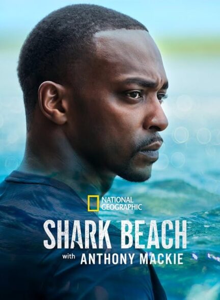 دانلود فیلم ساحل کوسه با آنتونی مکی | Shark Beach with Anthony Mackie