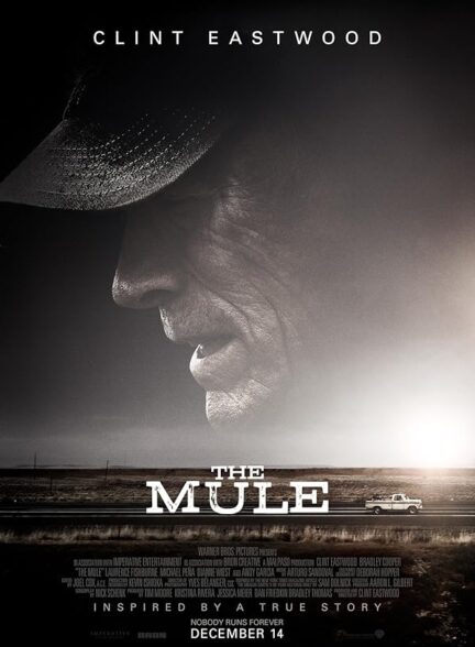 دانلود فیلم قاطر | The Mule