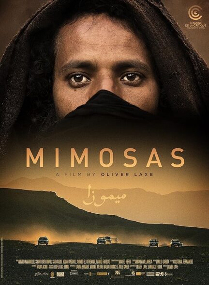 دانلود فیلم میموسا | Mimosas