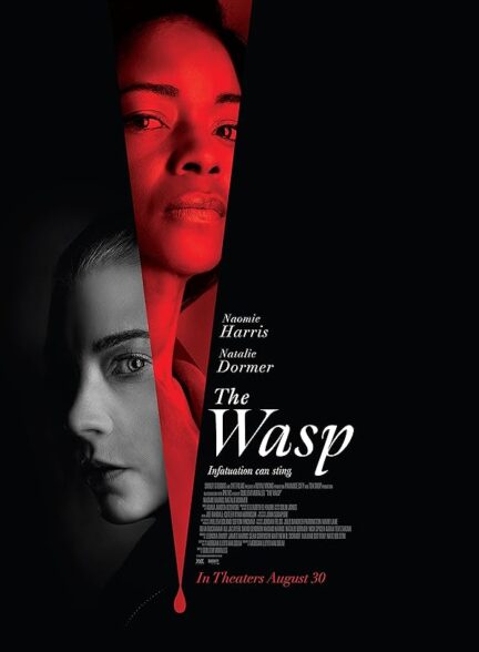 دانلود فیلم 2024 The Wasp