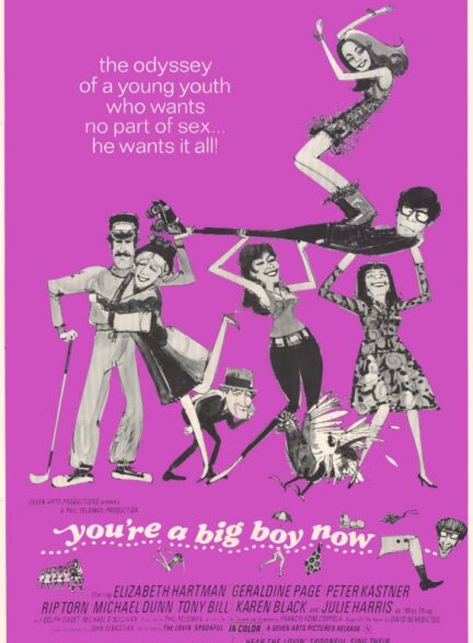 دانلود فیلم تو الان یه پسر بزرگ هستی | You’re a Big Boy Now 1966