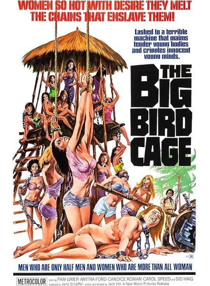 دانلود فیلم The Big Bird Cage 1972