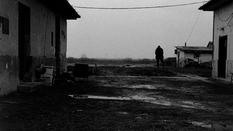 تصویر 5 تانگوی شیطان