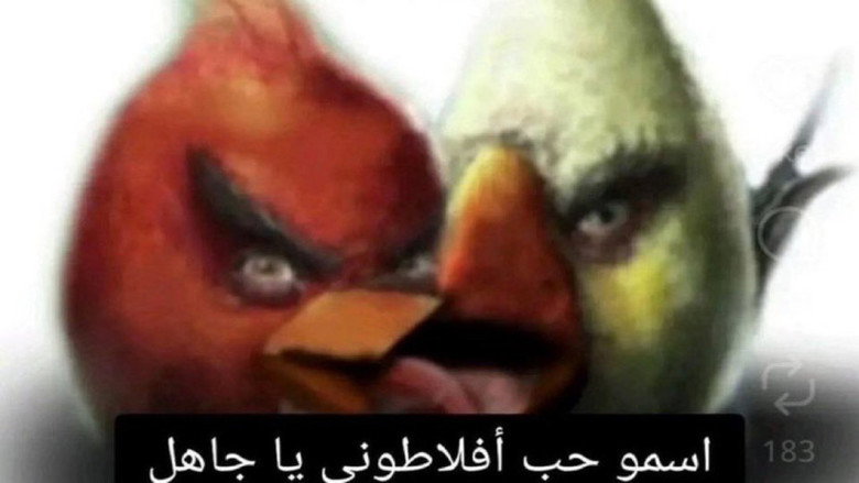 تصویر 11 بهار دیررس