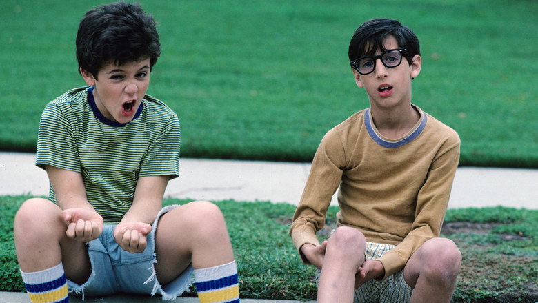 تصویر 3 The Wonder Years