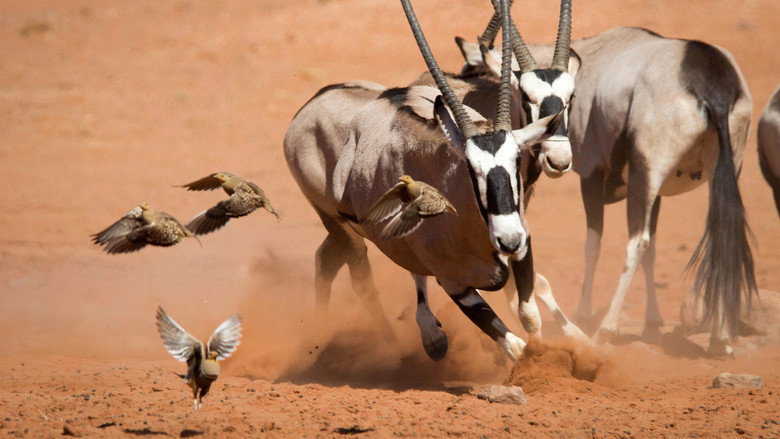 تصویر 2 سیاره زمین ۲