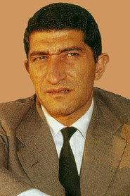 نیکولا آریلیانو