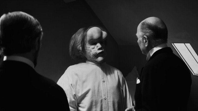 تصویر 10 مرد فیلنما