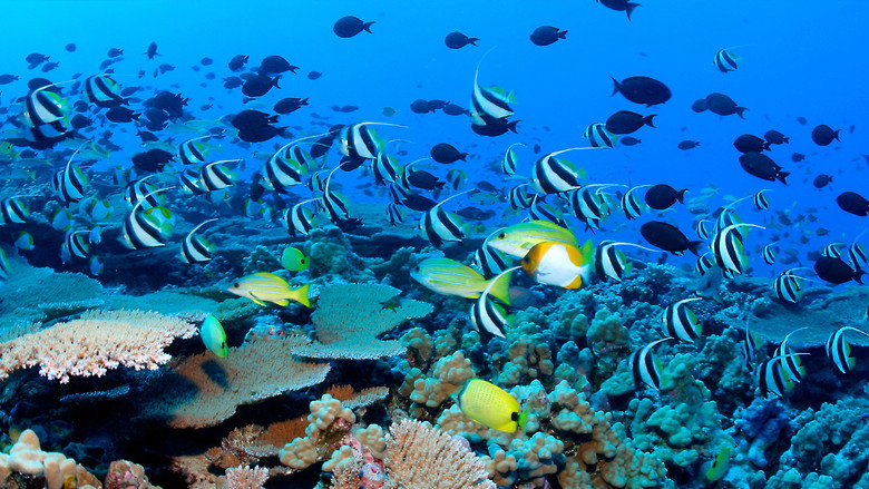 تصویر 4 سیاره آبی