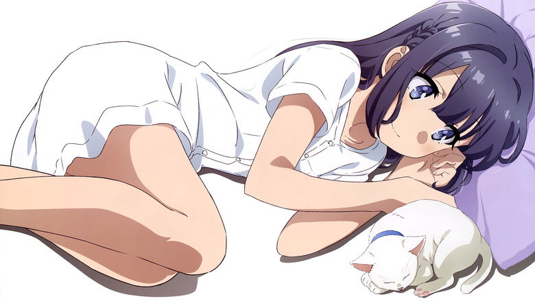 تصویر 8 Rascal Does Not Dream of Bunny Girl Senpai